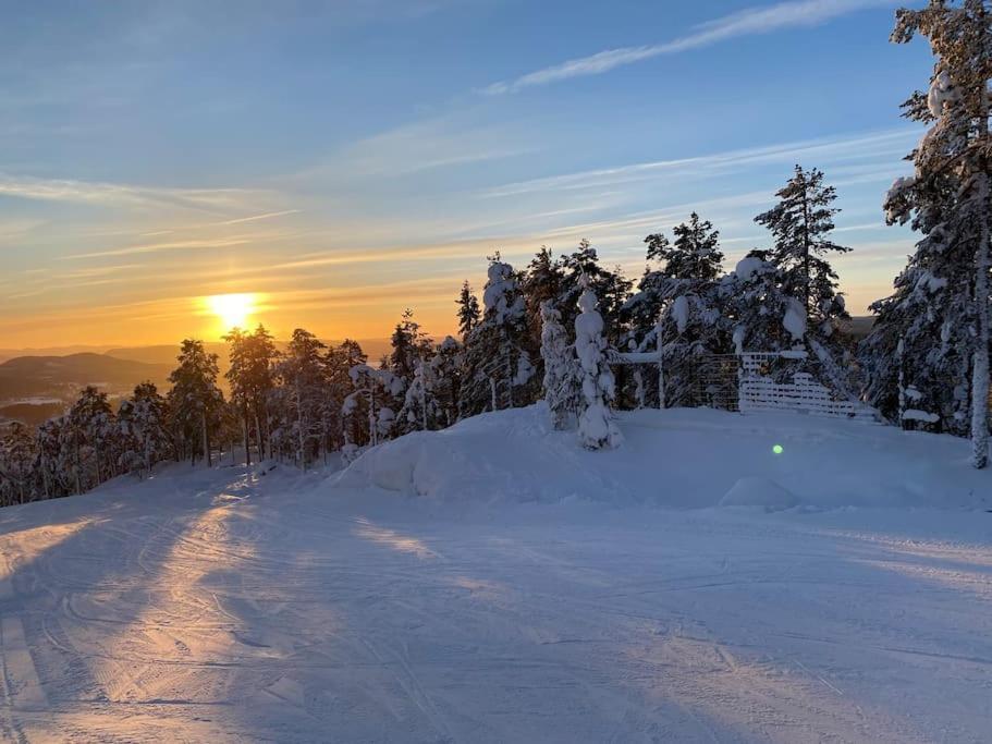 Modern Stuga Med Ski Lodge Kaensla Järvsö Zewnętrze zdjęcie